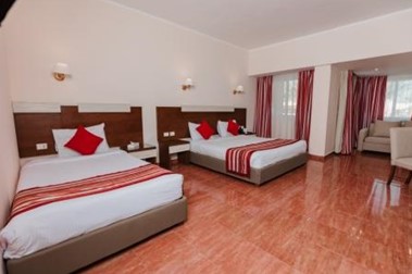 Superior Room 